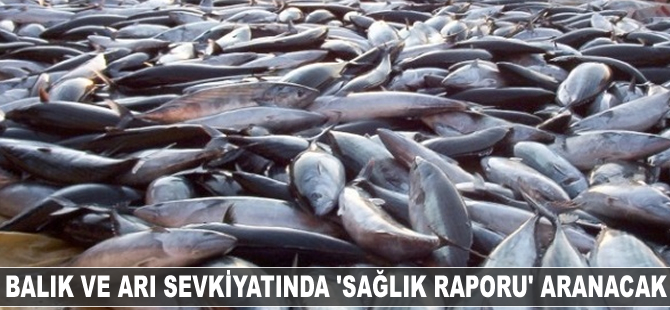 Balık ve arı sevkıyatında "sağlık raporu" aranacak