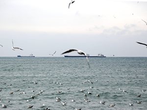 Marmara Denizi'nde poyraz etkisini kaybetti
