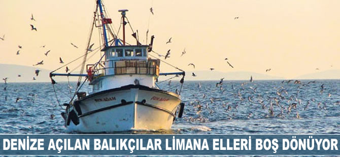 Denize açılan balıkçılar limana elleri boş dönüyor
