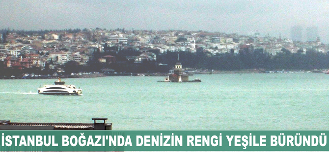 Sıcaklık üç saatte altı derece birden düştü, Boğaz suları yeşile büründü