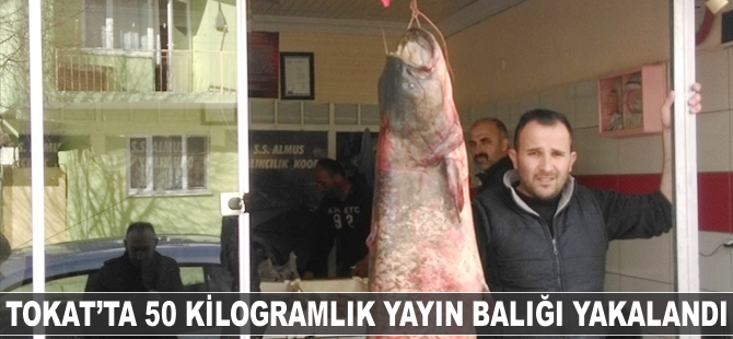 Baraj gölünde 50 kilogramlık Yayın Balığı yakalandı