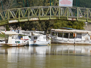 Muğla'da Gökova Körfezi'nin rengini değişti