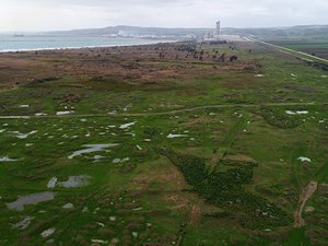 Yumurtalık Serbest Bölgesi'ne petrokimya tesisi kuruluyor