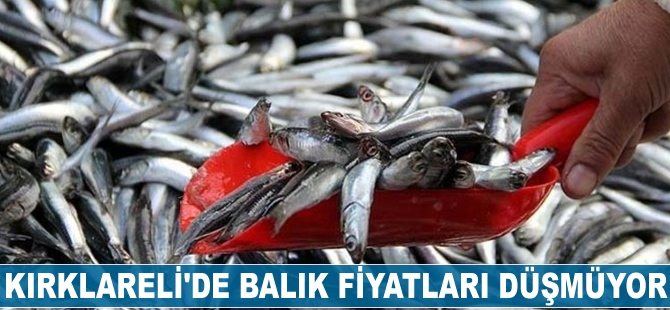 Kırklareli'de balık fiyatları düşmüyor