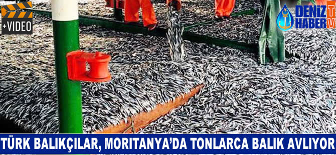 Türk balıkçılar, Moritanya'da tonlarca balık avlıyor