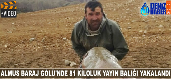 Almus Baraj Gölü'nde 81 kiloluk yayın balığı yakalandı