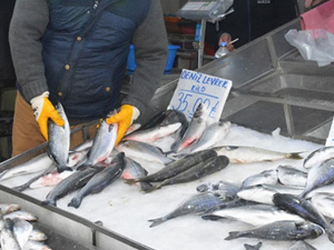 Sinop'ta soğuk hava ve fırtına balık fiyatlarını yükseltti