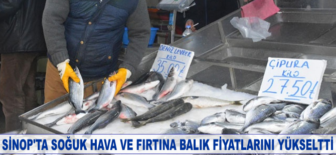 Sinop'ta soğuk hava ve fırtına balık fiyatlarını yükseltti