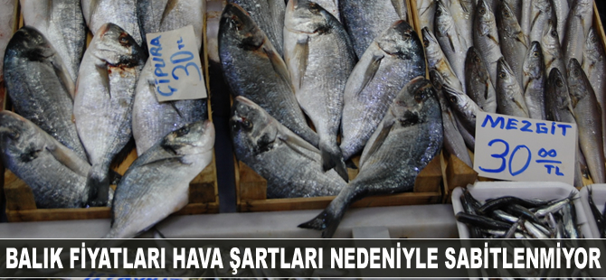Balık fiyatları hava şartları nedeniyle sabitlenmiyor