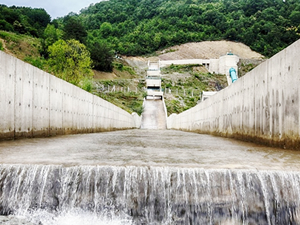 Tanyeri Elektrik, Ordu’da 46 MW’lık HES kuracak