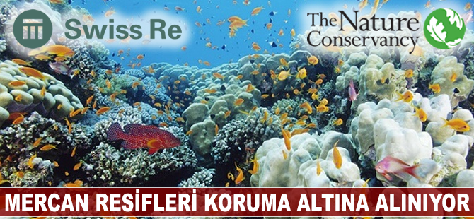 Mercan resfileri koruma altına alınıyor