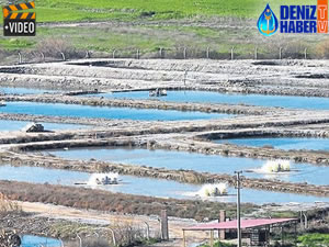 Verimsiz tarlalarda balık yetiştirilecek