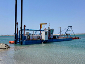 Artemia yumurtalarına duyulan ihtiyaç artıyor