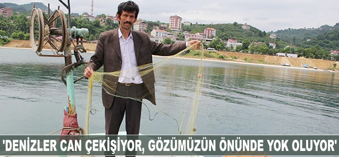 Hamdi Arslan: Denizler can cekişiyor, gözümüzün önünde yok oluyor