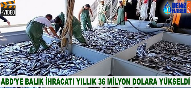 ABD'ye balık ihracatı yıllık 36 milyon dolara yükseldi