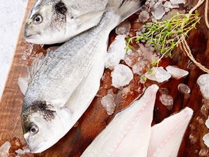 Amerika pazarında Türk balığına olan ilgi artıyor