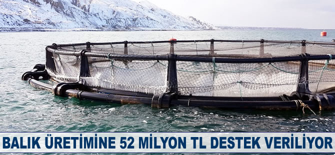 Balık üretimine 52 milyon TL destek veriliyor
