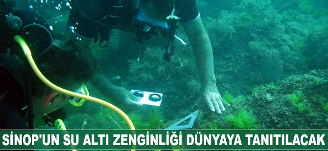 Sinop'un su altı zenginliği dünyaya tanıtılacak