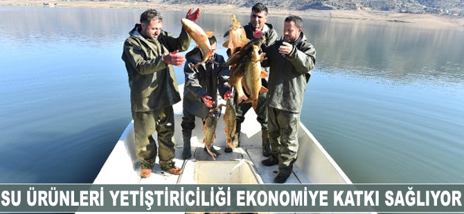 Su ürünleri yetiştiriciliği ekonomiye katkı sağlıyor