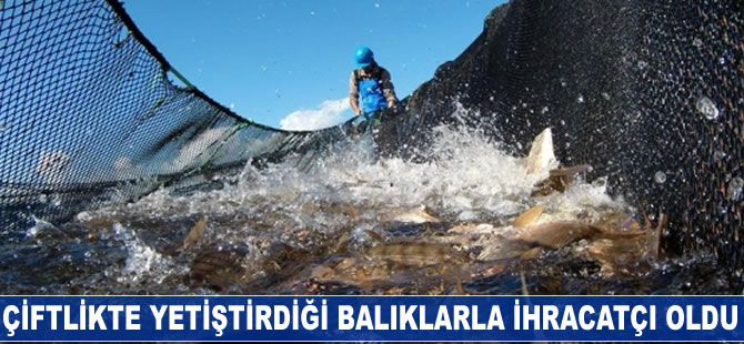 Çiftlikte yetiştirdiği balıklarla ihracatçı oldu