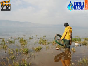 Dukan Barajı'nda 'ağ' yöntemiyle balık avlıyorlar