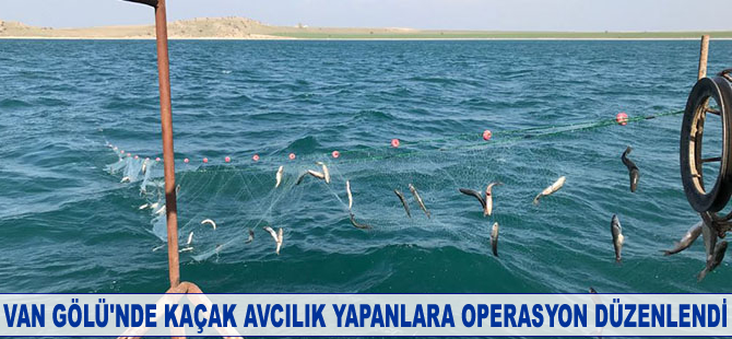 Van Gölü'nde kaçak avcılık yapanlara operasyon düzenlendi