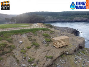Hamsilos Koyu'nda çevre düzenleme çalışması başladı