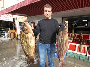 Beyşehir’de baraj balıkları tezgahta yerini aldı