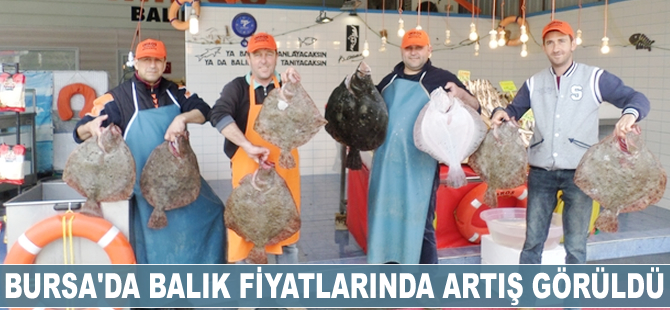 Bursa'da balık fiyatlarında artış görüldü