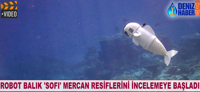 Robot balık SoFi mercan resiflerini incelemeye başladı