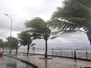 Mersin'de fırtına nedeniyle balıkçılar denize açılmadı