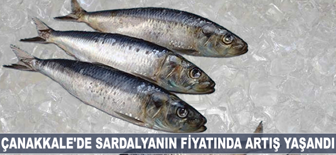 Çanakkale'de sardalyanın fiyatında artış yaşandı