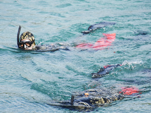 Dalgıçlar Bodrum'da 15 ton atık malzeme çıkardı