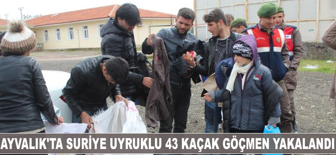 Ayvalık’ta 43 kaçak göçmen yakalandı