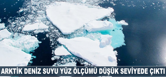 Arktik deniz buzu yüz ölçümü düşük seviyede çıktı