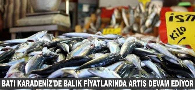 Batı Karadeniz'de balık fiyatlarında artış devam ediyor