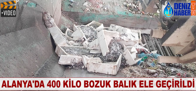 Alanya'da 400 kilo bozuk balık ele geçirildi