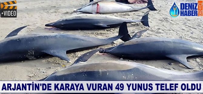 Arjantin'de karaya vuran 49 yunus telef oldu