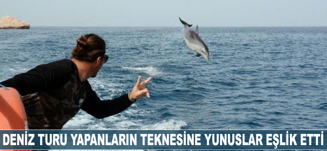 Kemer'de deniz turu yapanların teknesine yunuslar eşlik etti