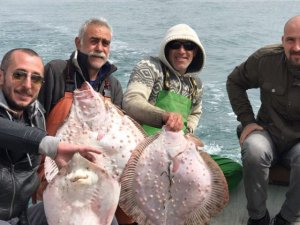 Karadeniz'de kalkan bereketi balıkçıları sevindirdi