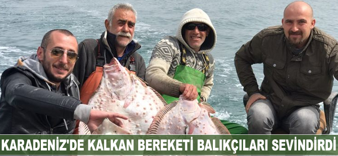 Karadeniz'de kalkan bereketi balıkçıları sevindirdi