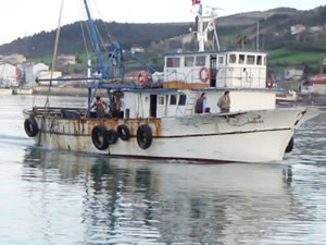 Samsun’da tekneden denize düşen genç bulunamadı