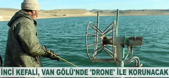 İnci Kefali, Van Gölü'nde 'drone' ile korunacak