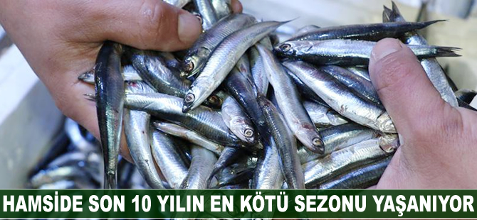 Hamside son on yılın en kötü sezonu yaşanıyor