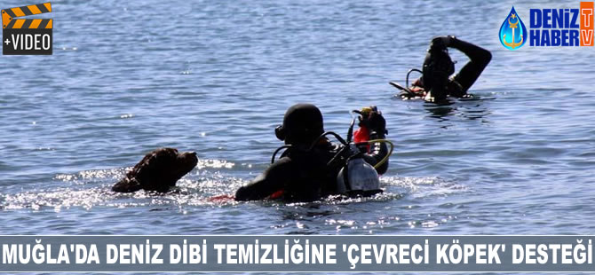 Muğla'da deniz dibi temizliğine 'çevreci köpek' desteği