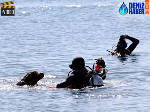 Muğla'da deniz dibi temizliğine 'çevreci köpek' desteği