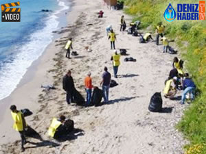 Sinop’ta telef olan yunusların sayısı artıyor