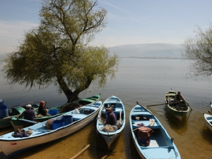 Uluabat Gölü'nde turna avı balıkçıları sevindirdi