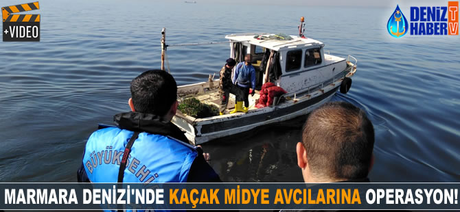 Marmara Denizi'nde kaçak midye avcılarına operasyon yapıldı