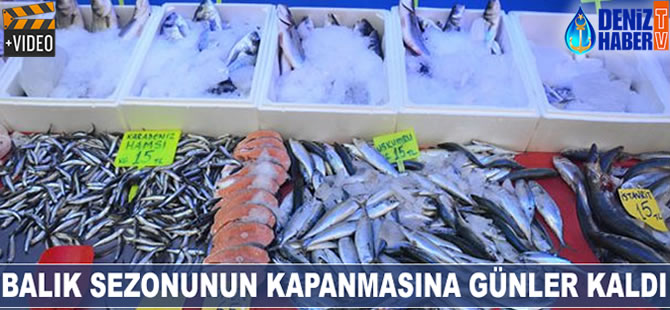 Balık sezonun kapanmasına günler kaldı